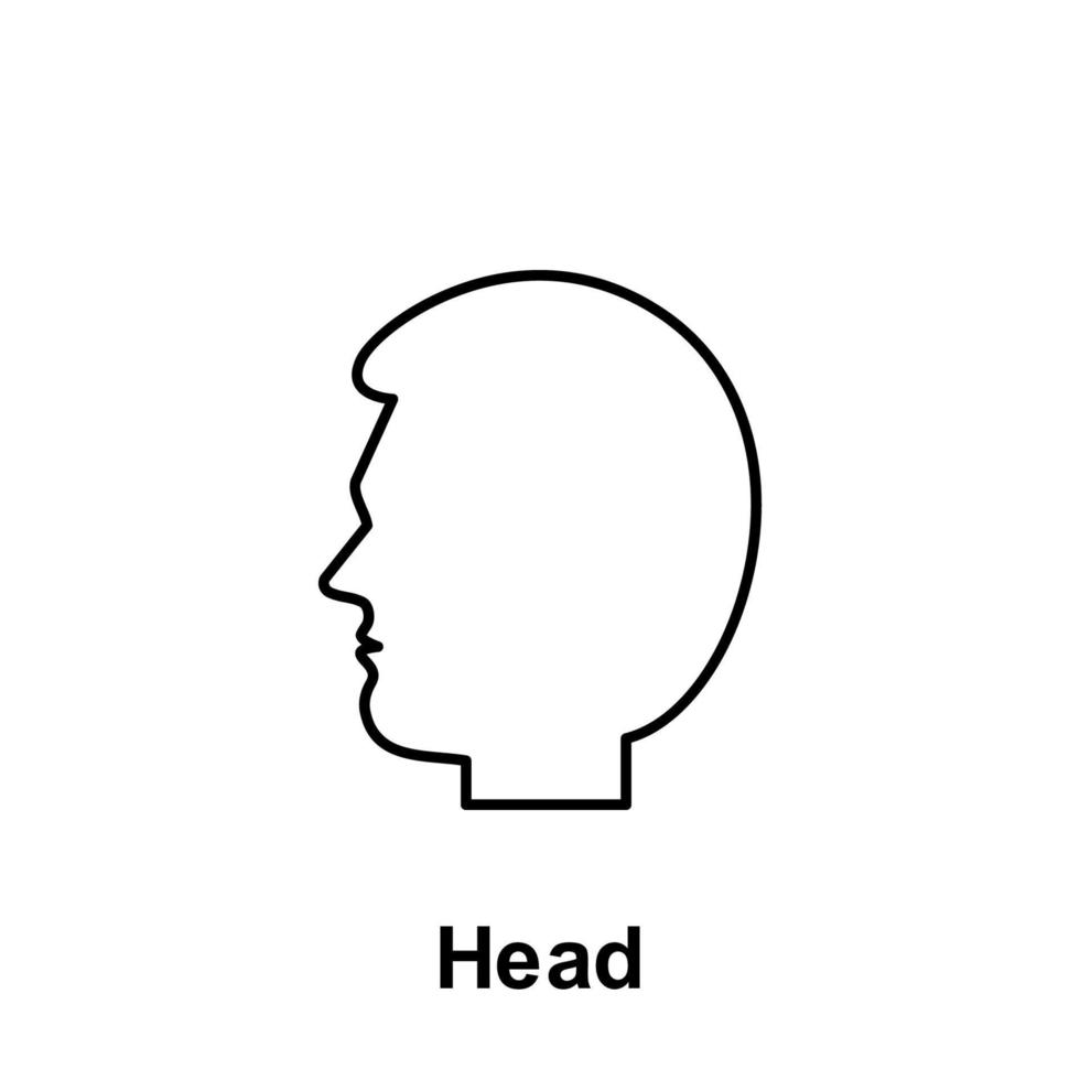 Head, organ vector icon illustration