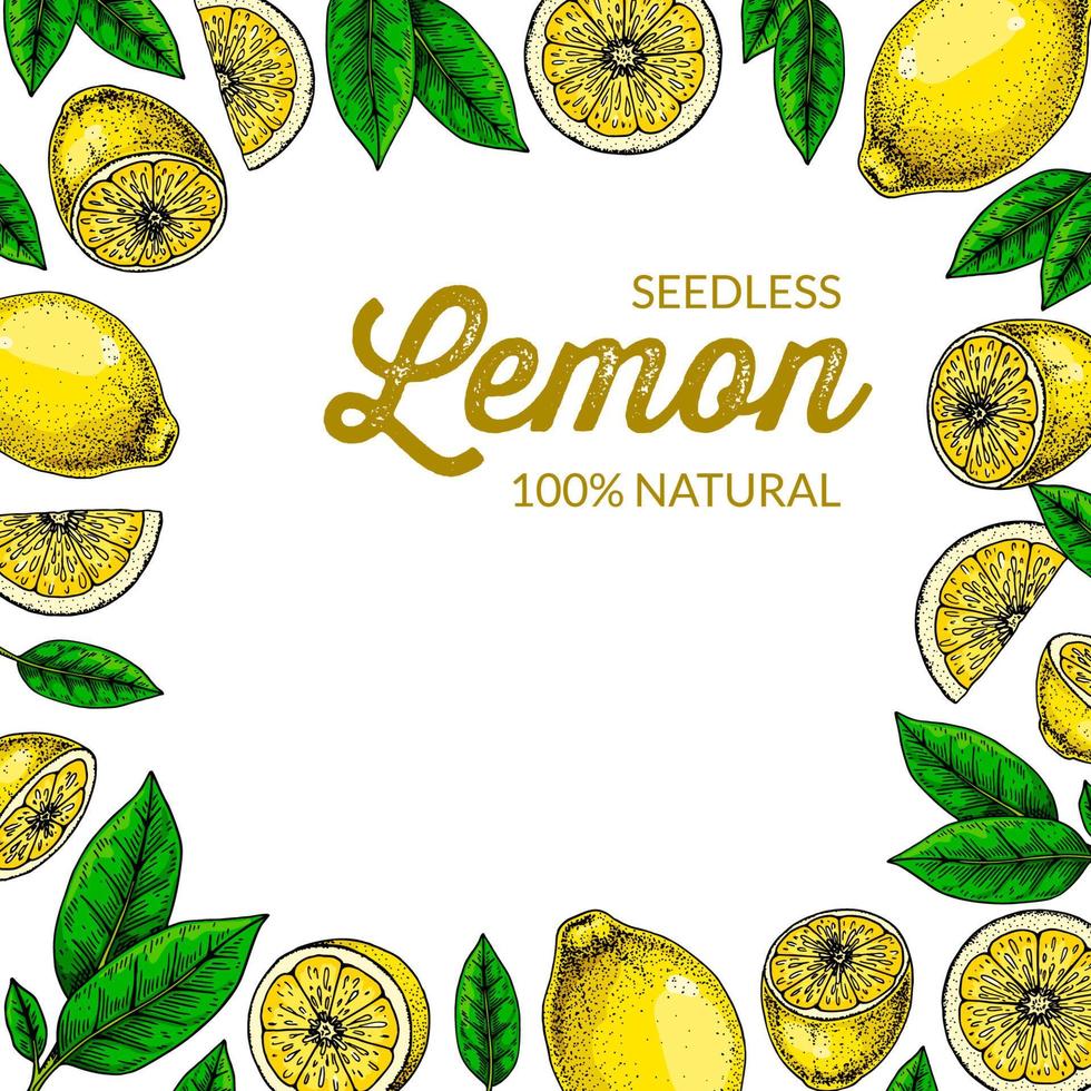 Lemon square background. Colorful vector illustration in sketch style. Design can be used for packaging, social media post, prints, cards, decoration