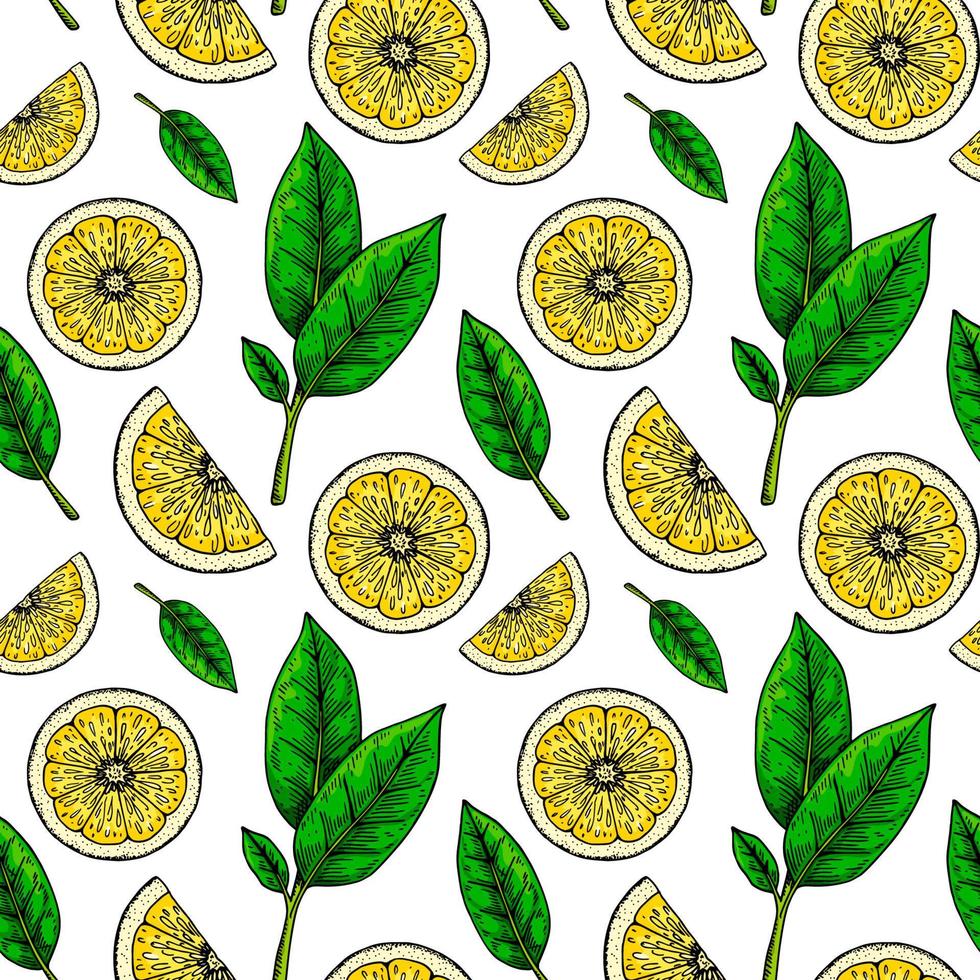 limón rebanada sin costura modelo. vistoso mano dibujado vector ilustración en bosquejo estilo. tropical exótico agrios Fruta verano antecedentes