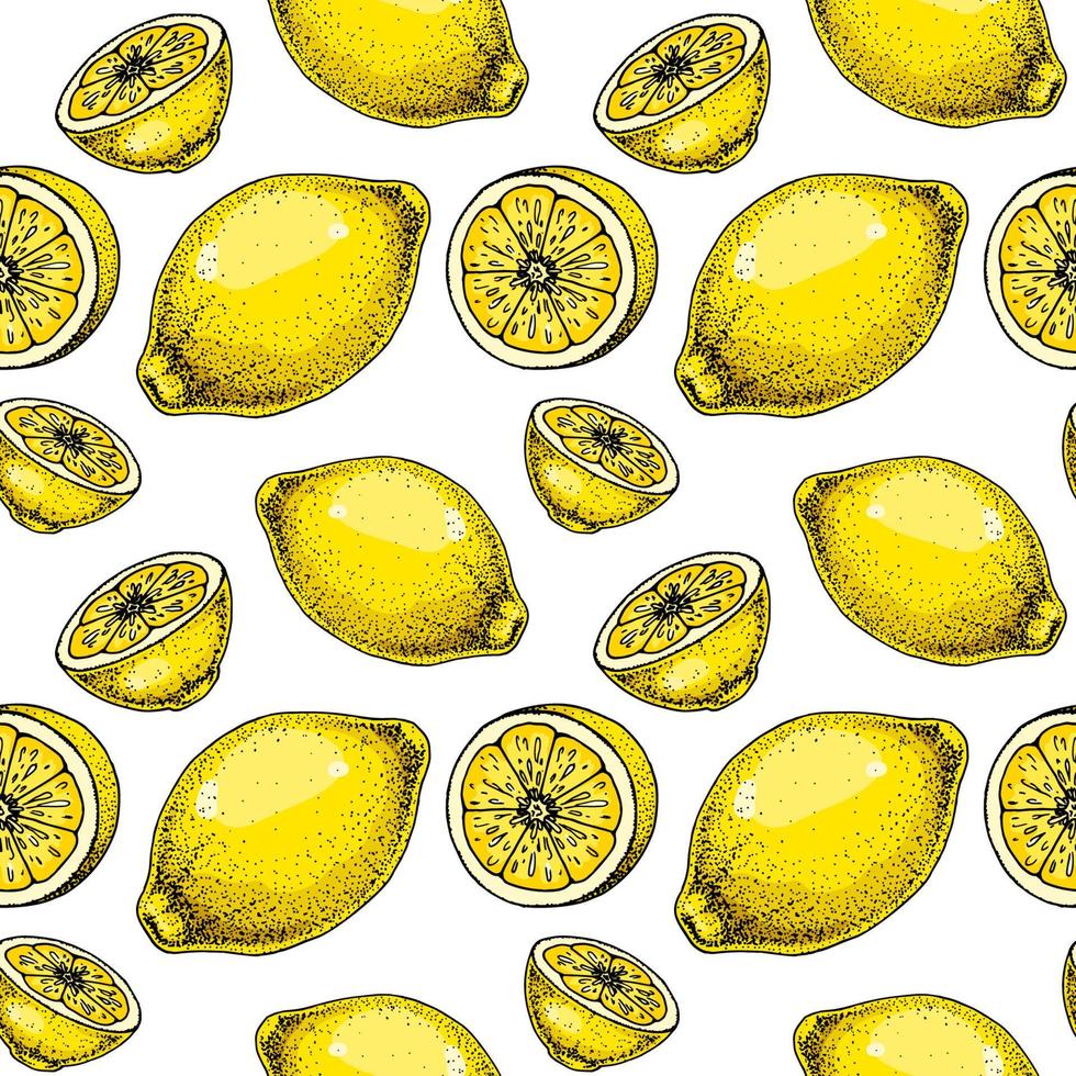 Lemon slice seamless pattern. Colorful hand drawn vector illustration in sketch style. Tropical exotic citrus fruit summer background