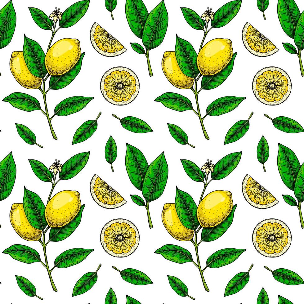 Lemon seamless pattern. Colorful hand drawn vector illustration in sketch style. Tropical exotic citrus fruit summer background