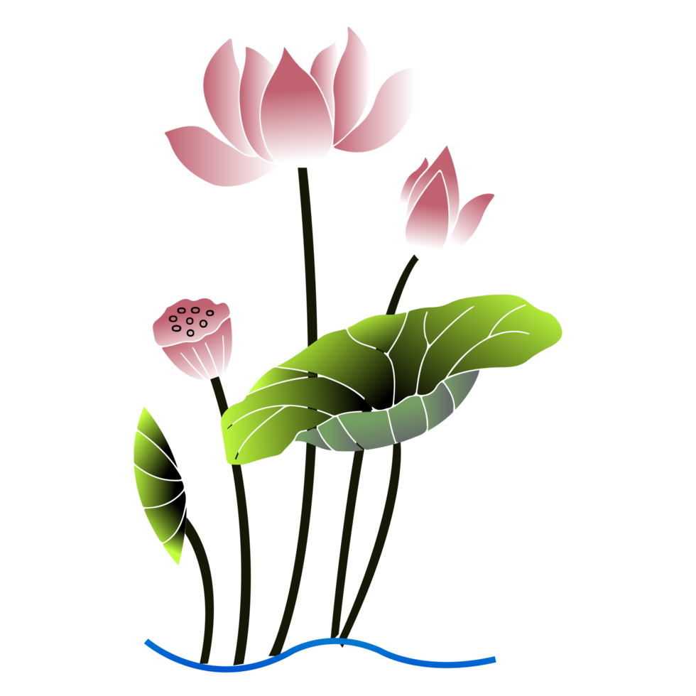 A lotus flowers and green leaves png