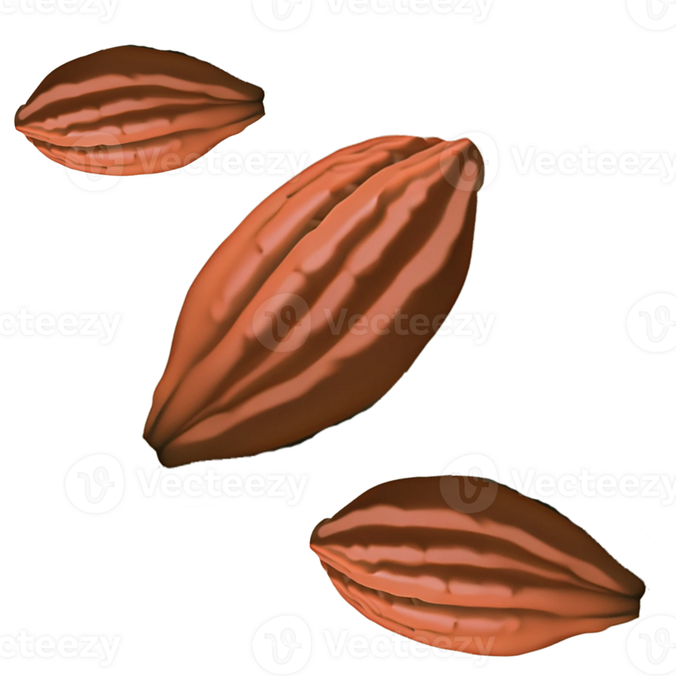 cacao beans 3d rendering png