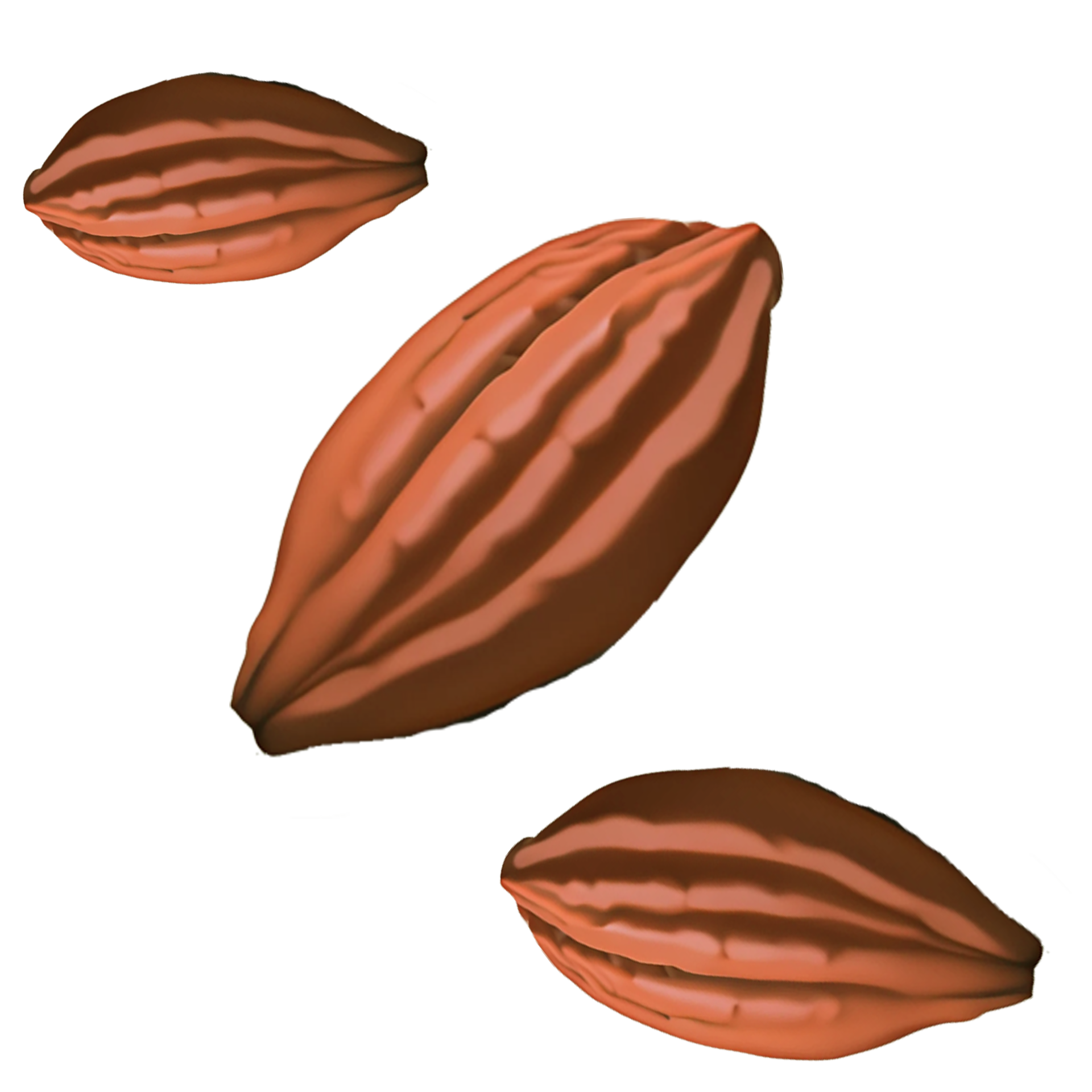 cacao beans 3d rendering 23205088 PNG