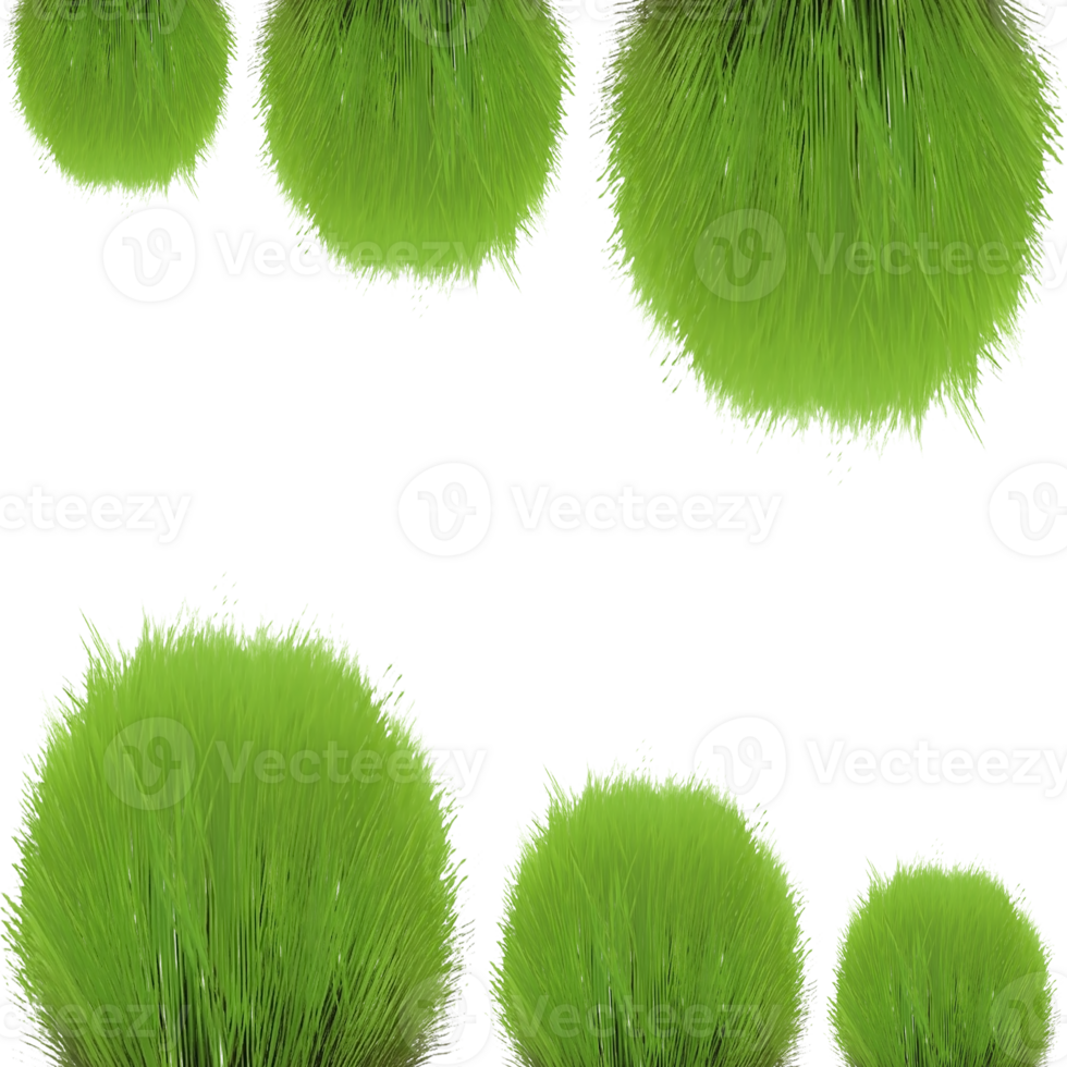 green grass frame png