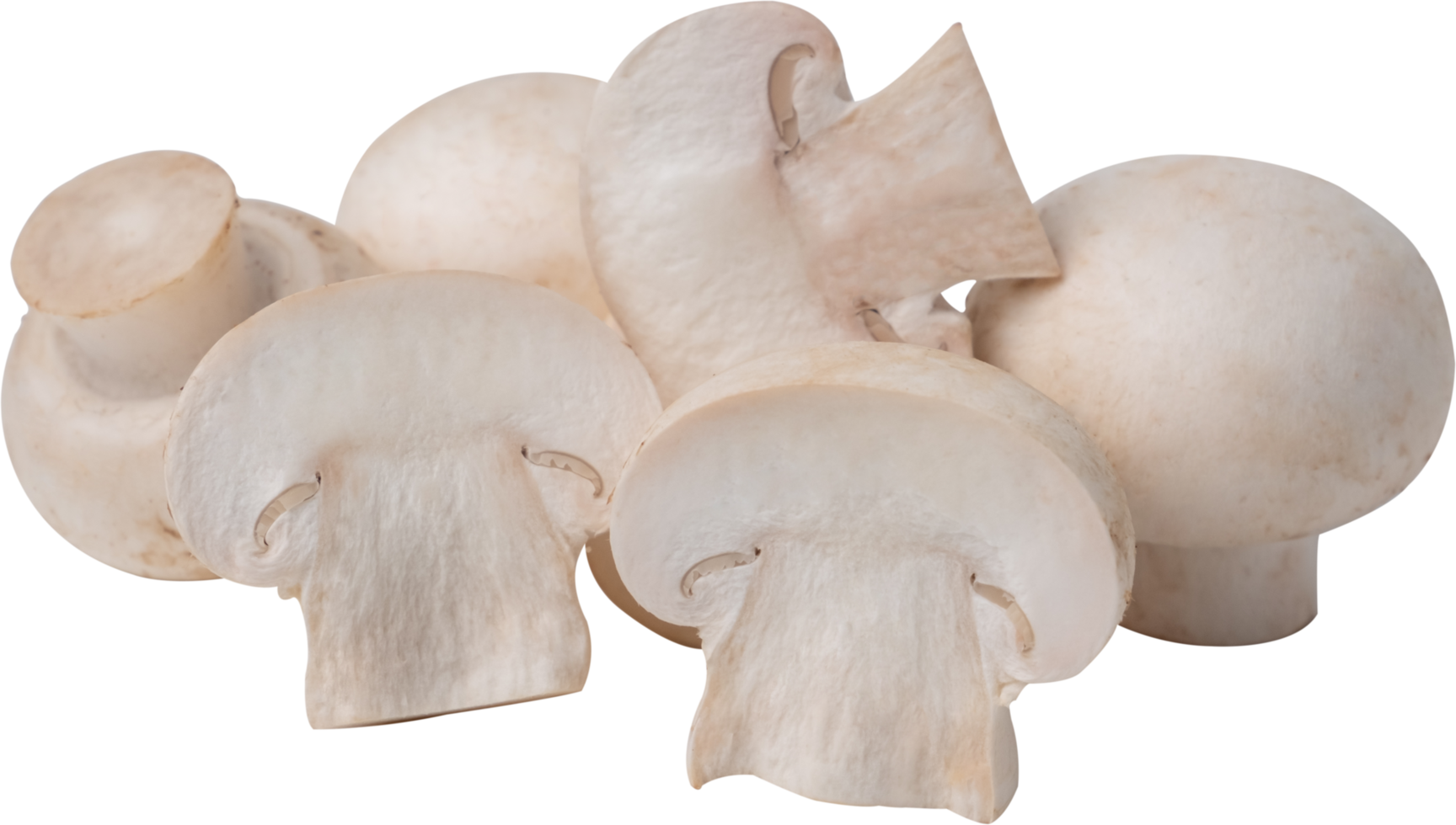 button mushroom cut out on transparent background. png