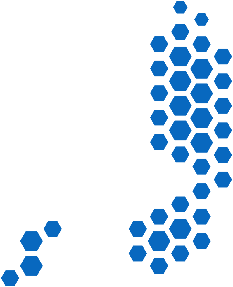 hexagon shape palestine map. png