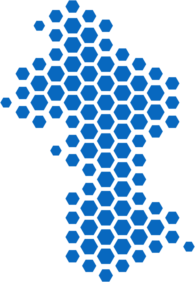 hexagon shape of guyana map. png