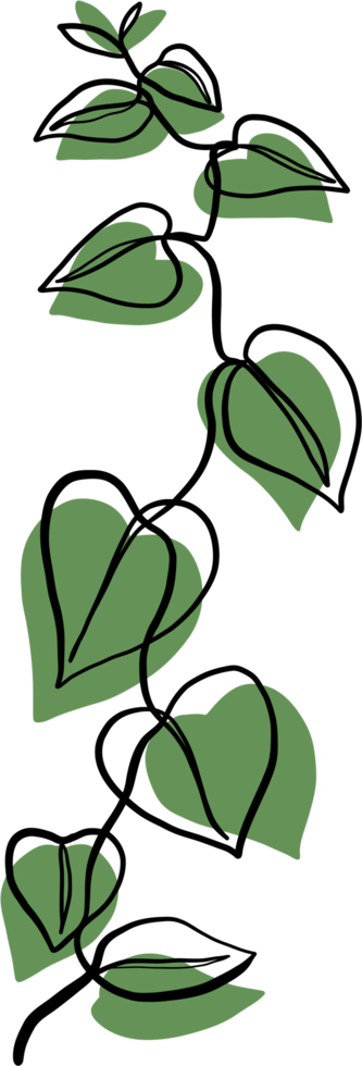 Simplicity ivy freehand drawing png