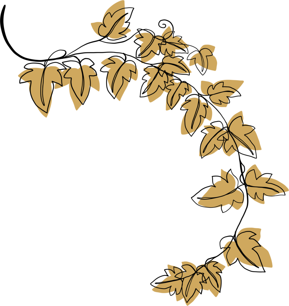 Simplicity ivy freehand drawing png