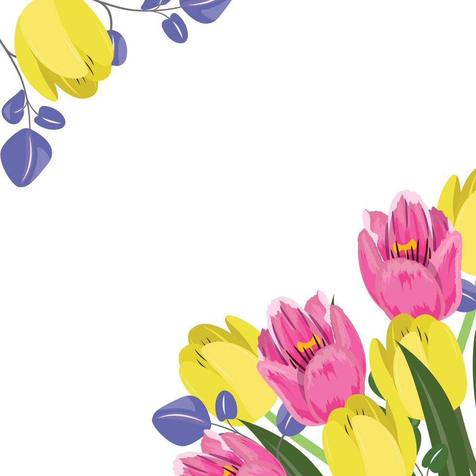 Tulips in the corners. Floral template with pink, purple and yellow tulips in the corners.For cards, posters, advertisements, banners. vector