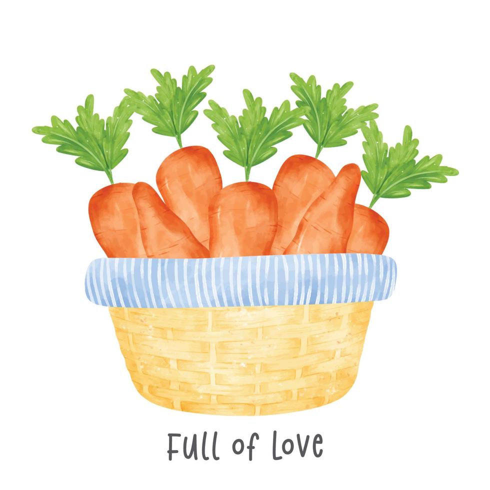 group of orange carrots vegetables watercolour in wooden vintage wicker basket vector hand painted illustration isolated on white background.