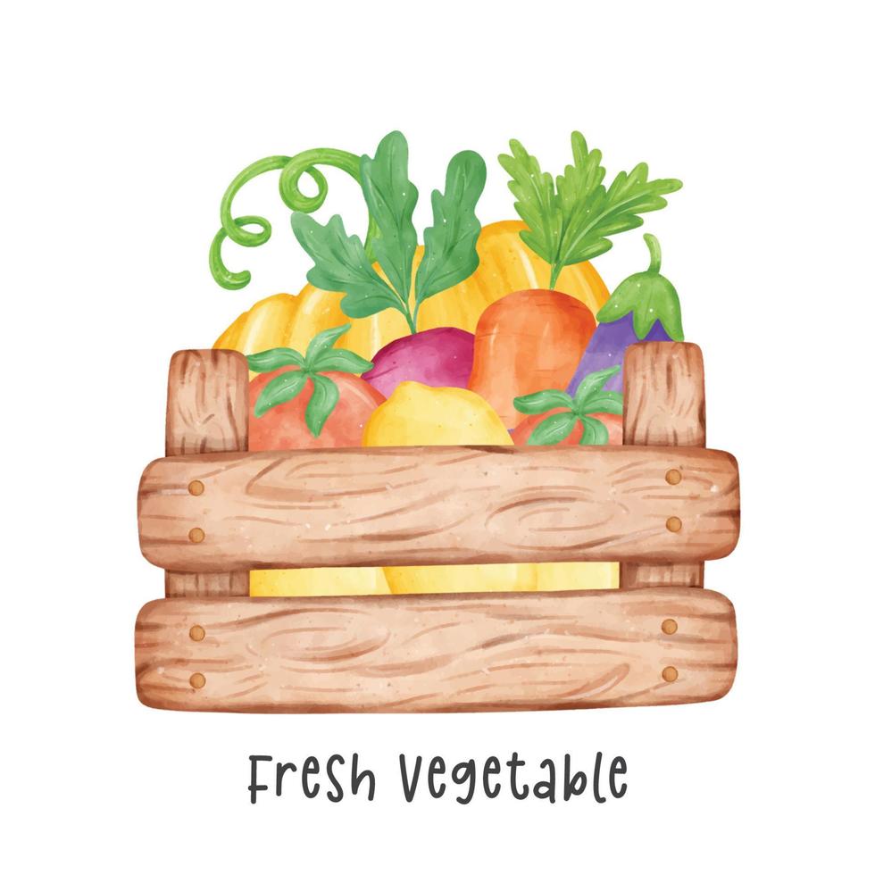 group of assorted fresh colorful vegetable watercolour in wooden garden container vector cartoon hand painted illustration isolated on white background.