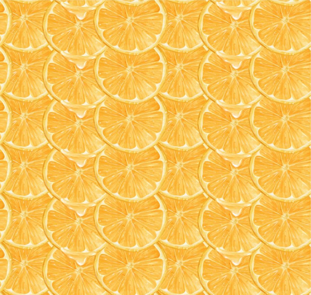 pattern seamless background Watercolor close up sliced orange fruit semi realistic hand drawing painted illustration, isolated on white background vector