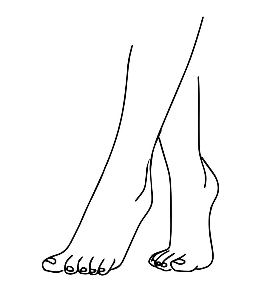 Beautiful female legs. Vector illustration in line art style.