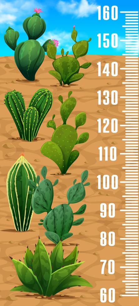 Kids height chart ruler with cactus succulents vector