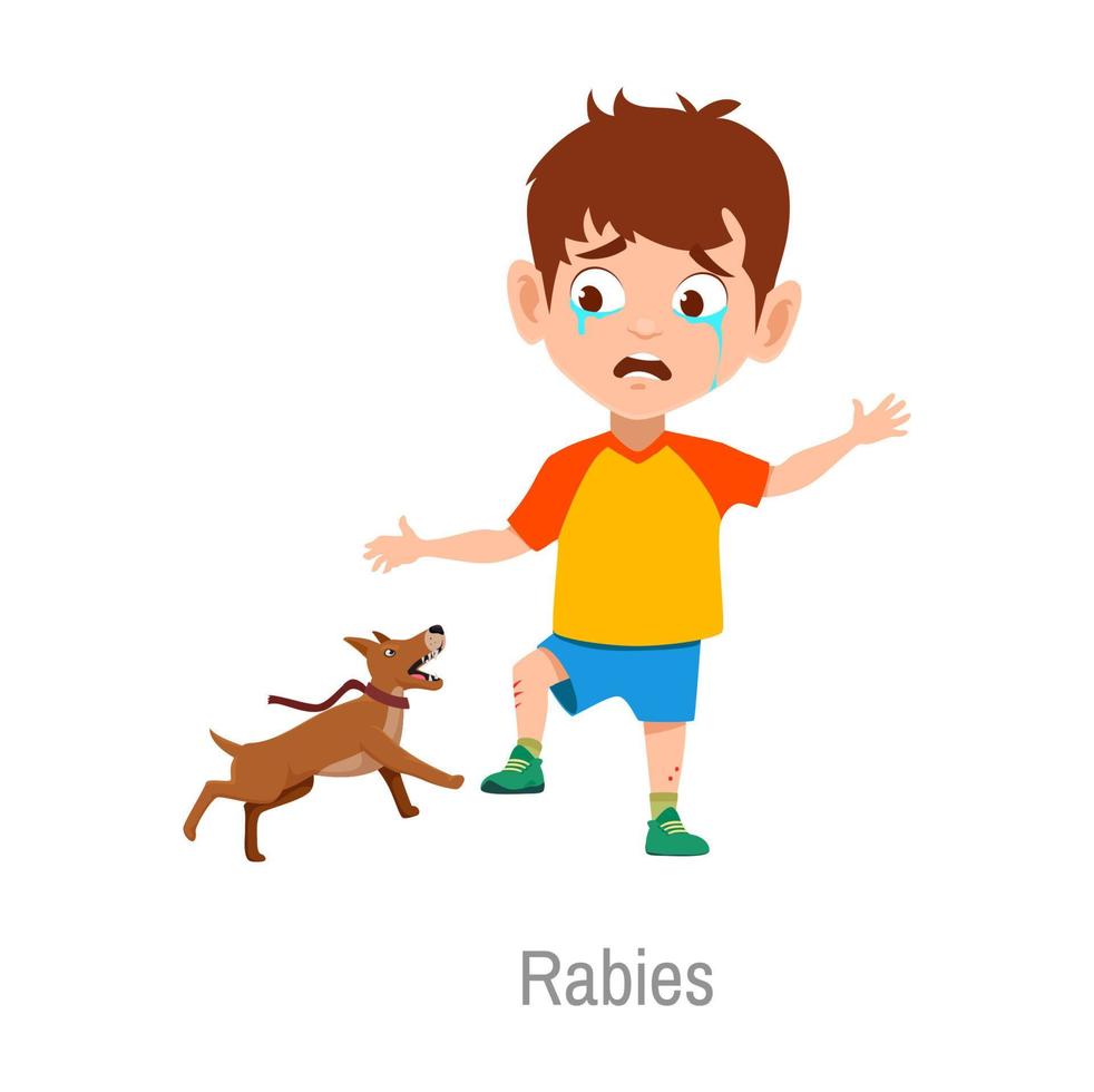 Rabies child disease, boy attacked with sick dog vector