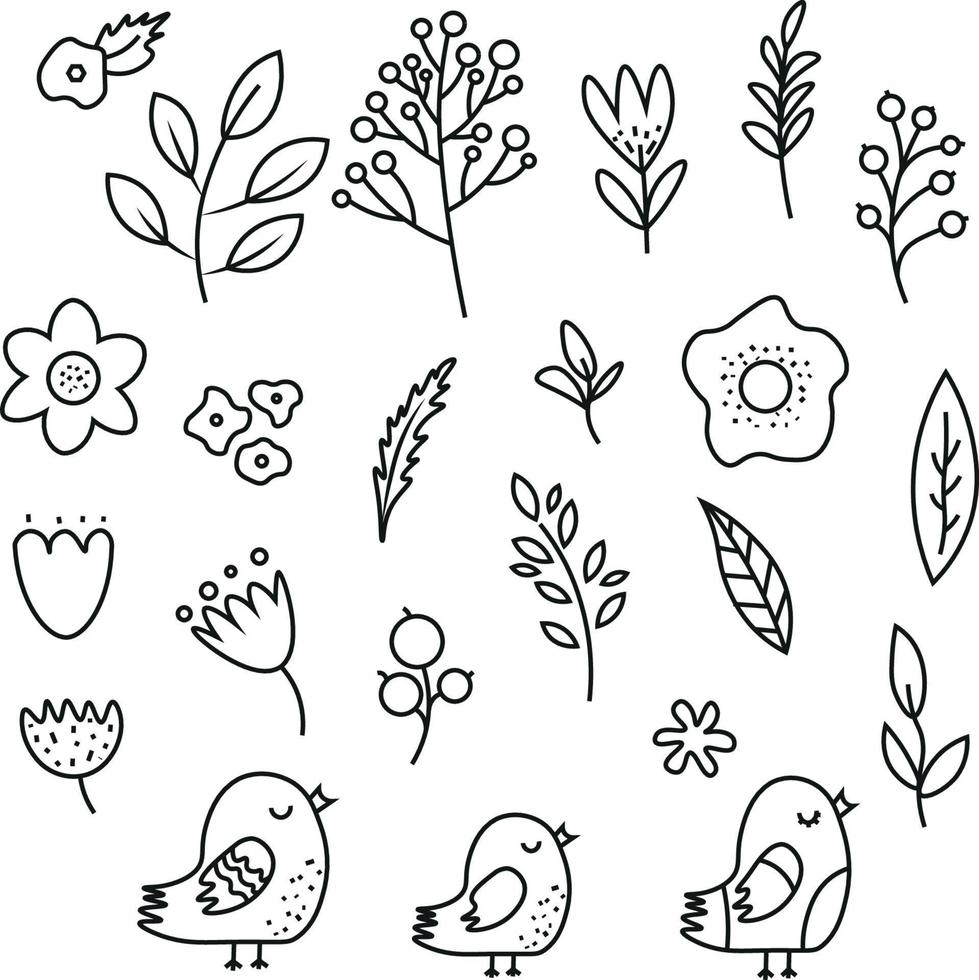 set of illustrations including different leaves trees flowers birds. line art of forest flora Outline botanical drawing for coloring. vector illustrations of plants and flowers. icons of plants, flowe