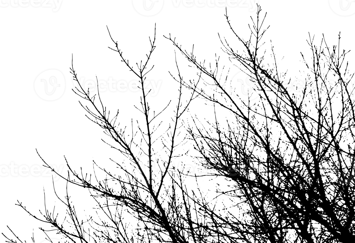 Rustic grunge texture with grain and stains. Abstract noise background. PNG graphic illustration with transparent background.