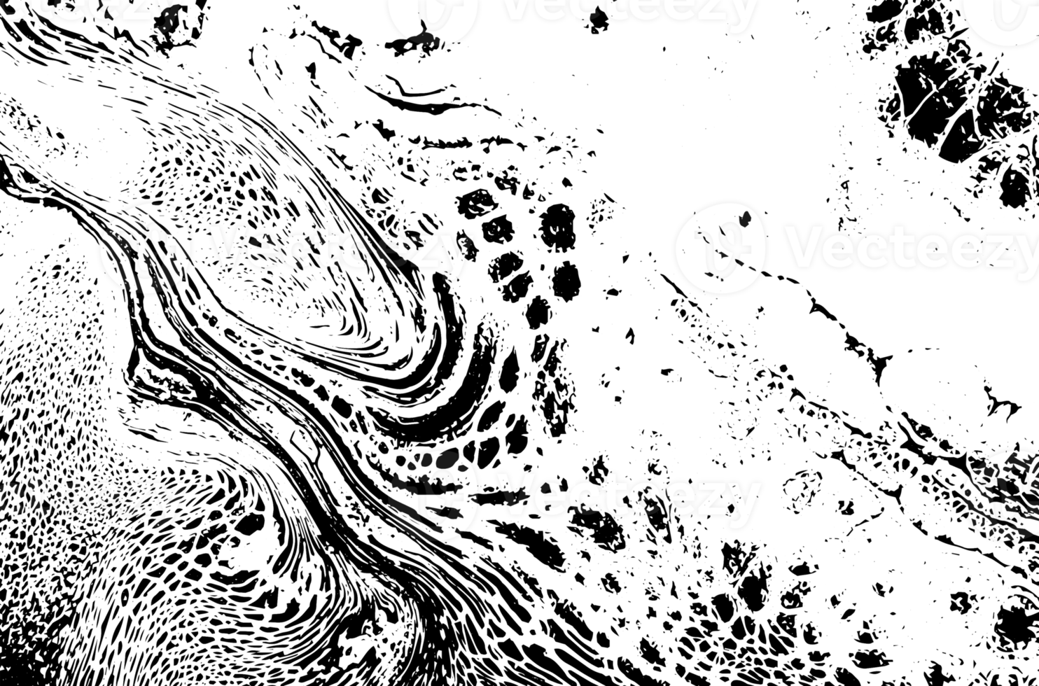 Rustic grunge texture with grain and stains. Abstract noise background. PNG graphic illustration with transparent background.