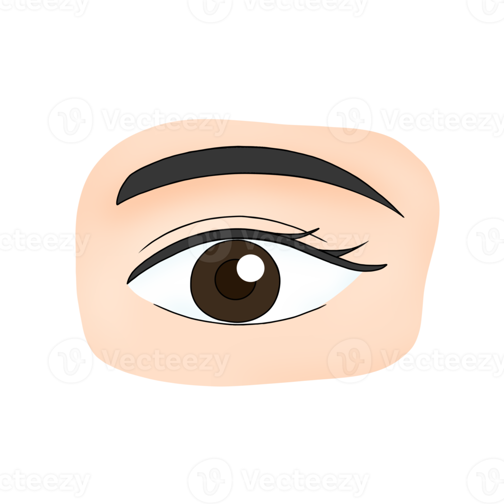 eyes human body part cartoon illustration png