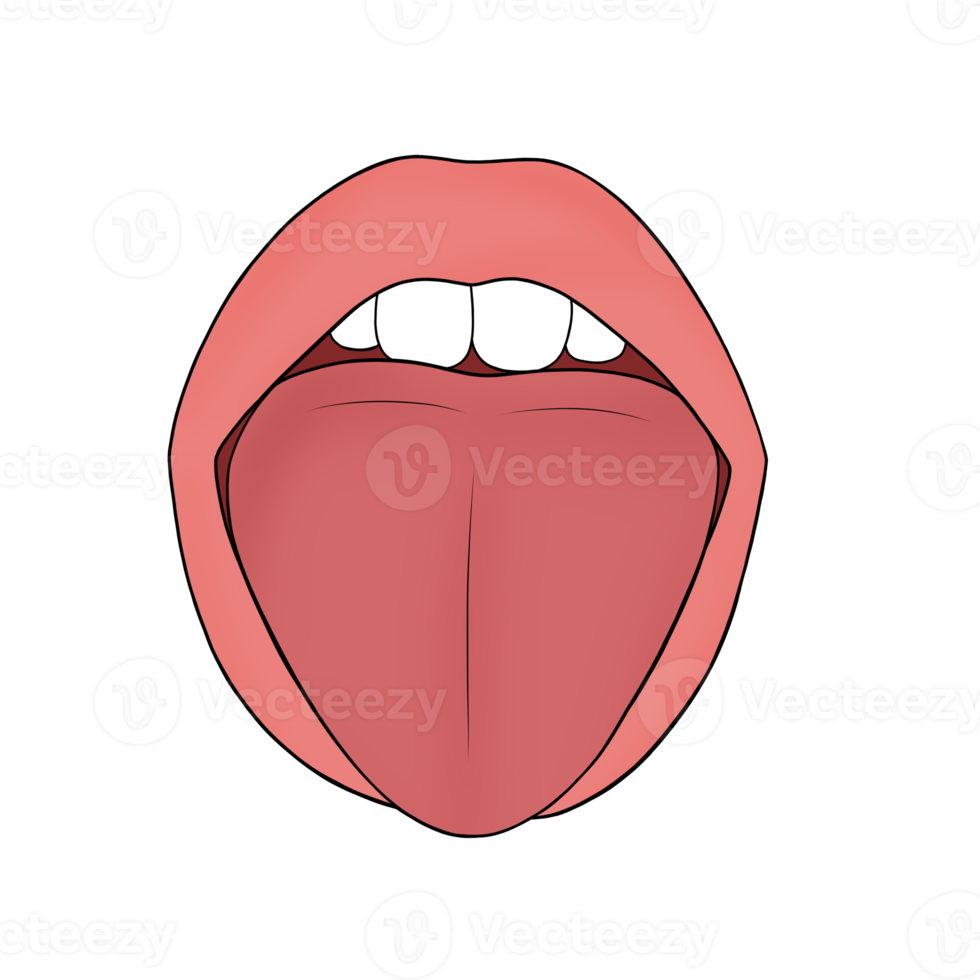 tongue human body part cartoon illustration png