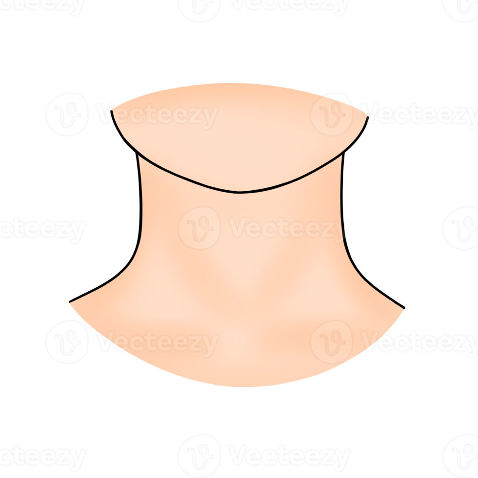 cuello humano cuerpo parte dibujos animados ilustración png