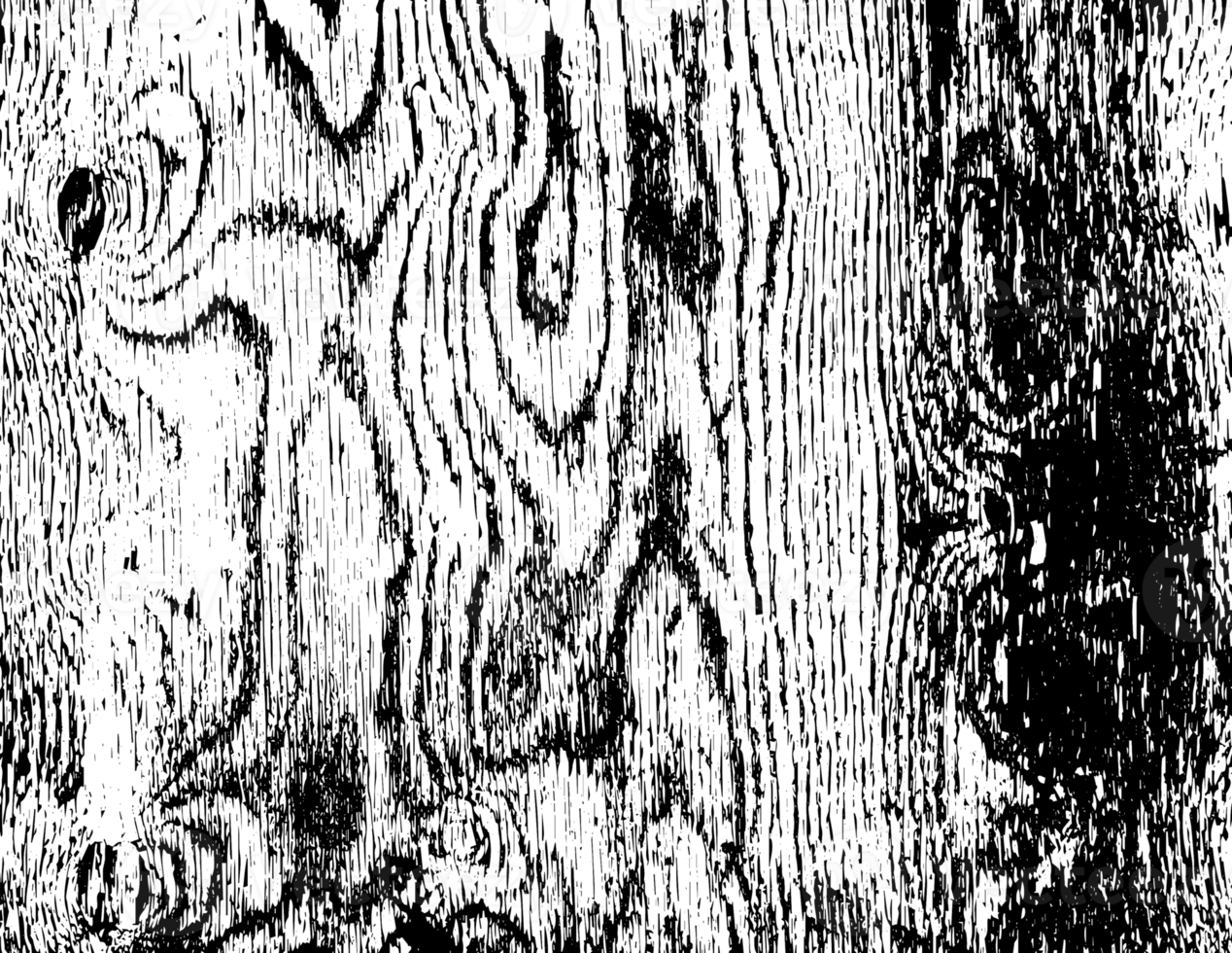 Rustic grunge texture with grain and stains. Abstract noise background. PNG graphic illustration with transparent background.