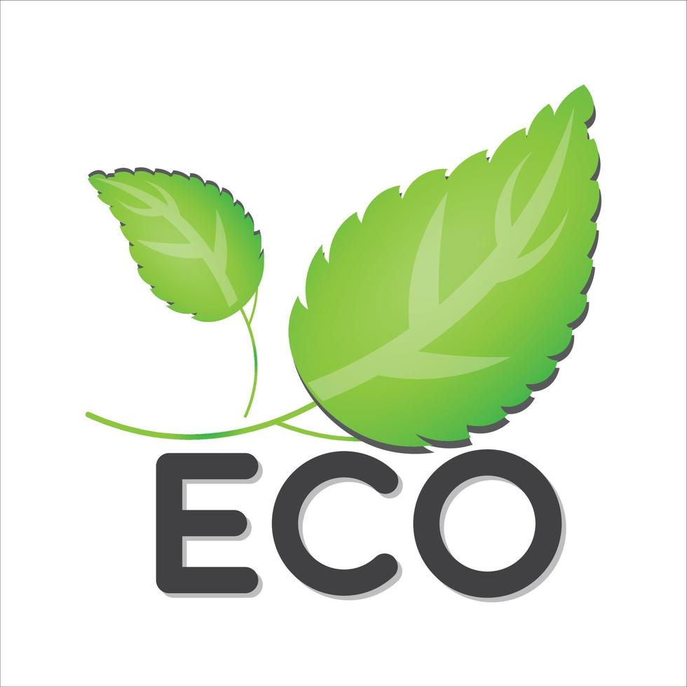 eco icon, vector, illustration, symbol vector