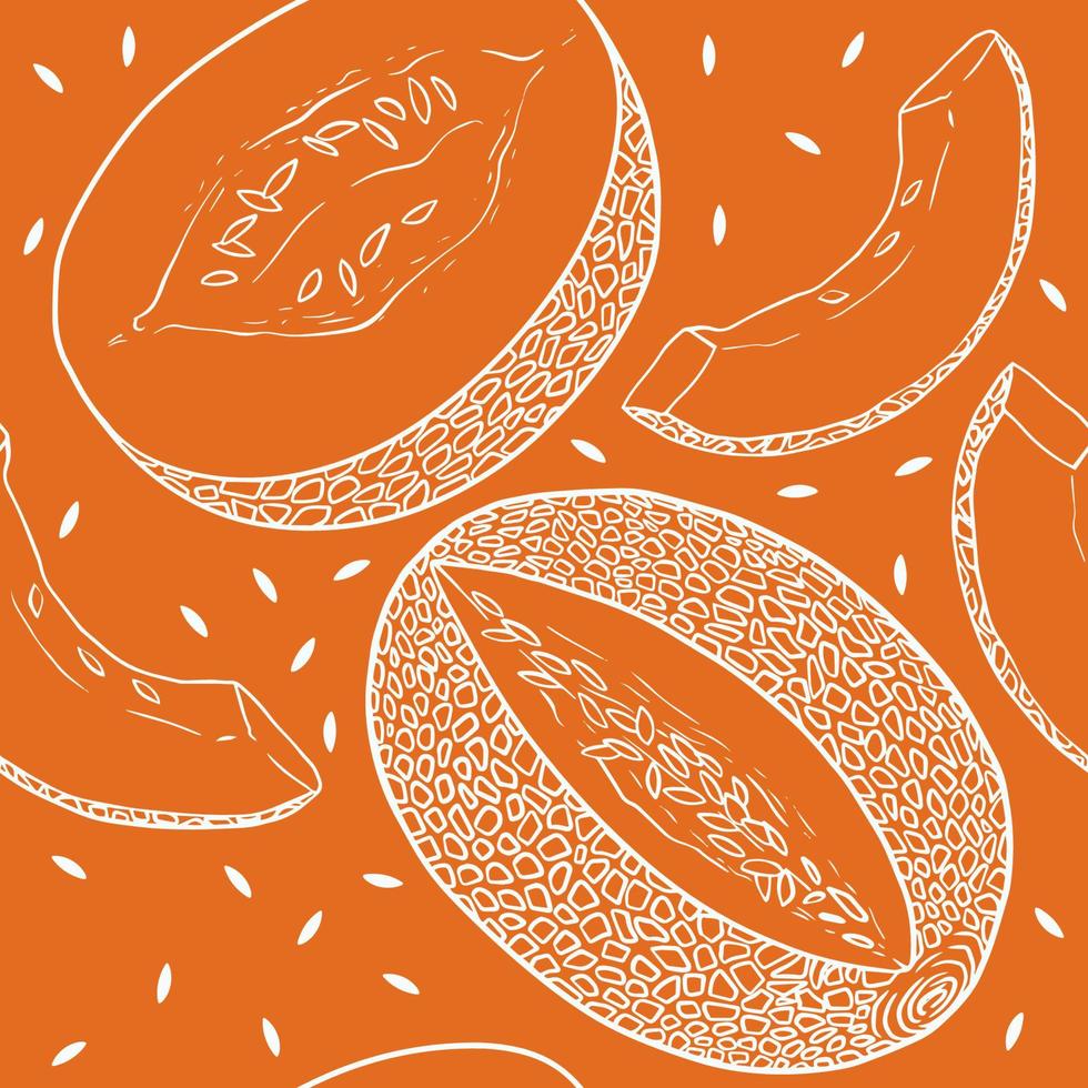 Seamless linear pattern with textured cantaloupe melon vector