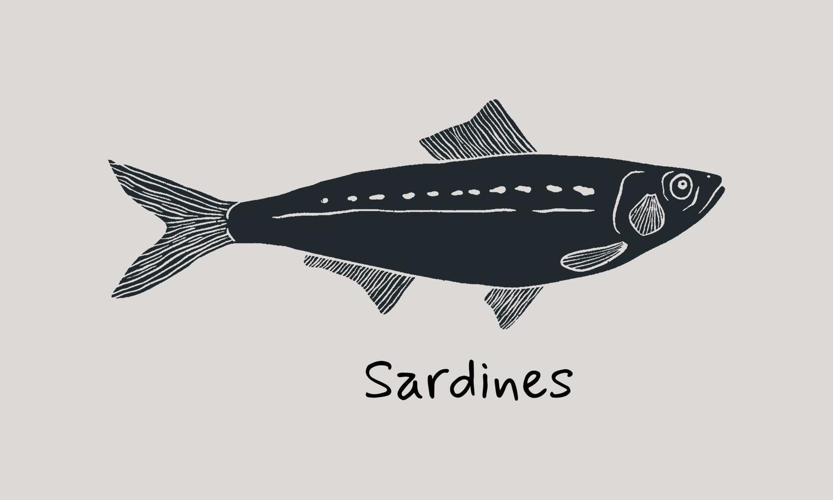 Hand drawn sardines fish in sketch style. Simple vector isolated illustration on beige background