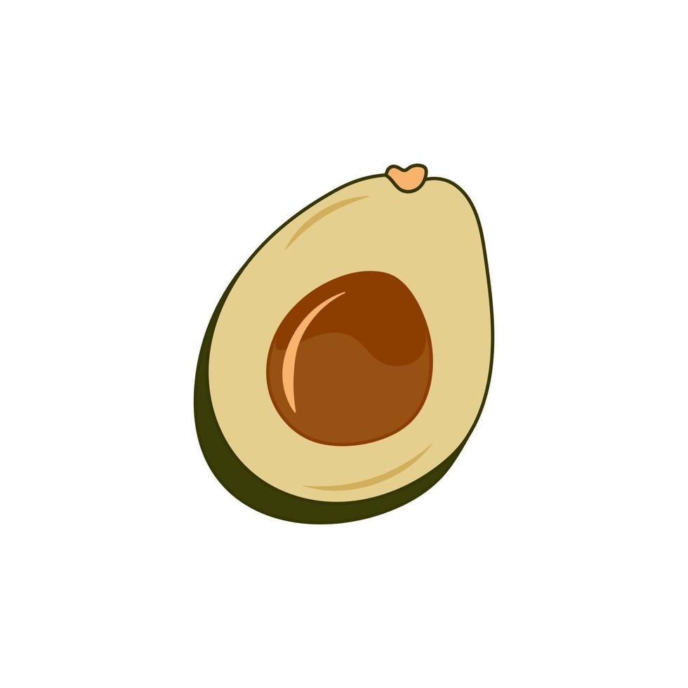 Avocado fruit. Cut in half avocado with pit. Cartoon vector illustration.