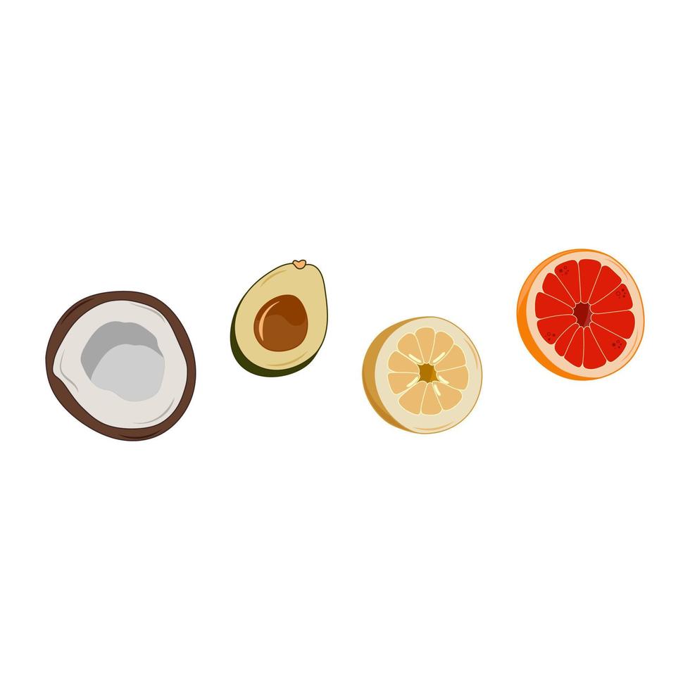 Set of exotic, tropical fruits. Cut in half coconut, avocado, lemon and grapefruit. Vector illustration.