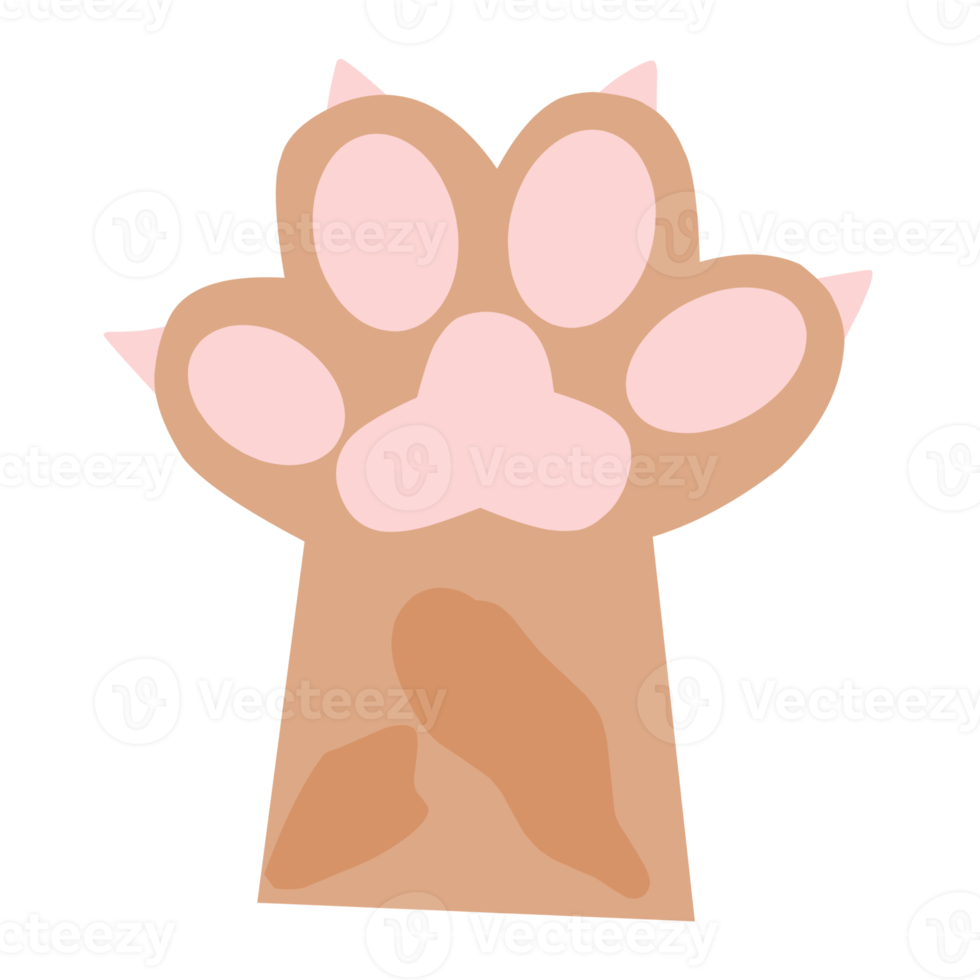 Cute Cat Feet png