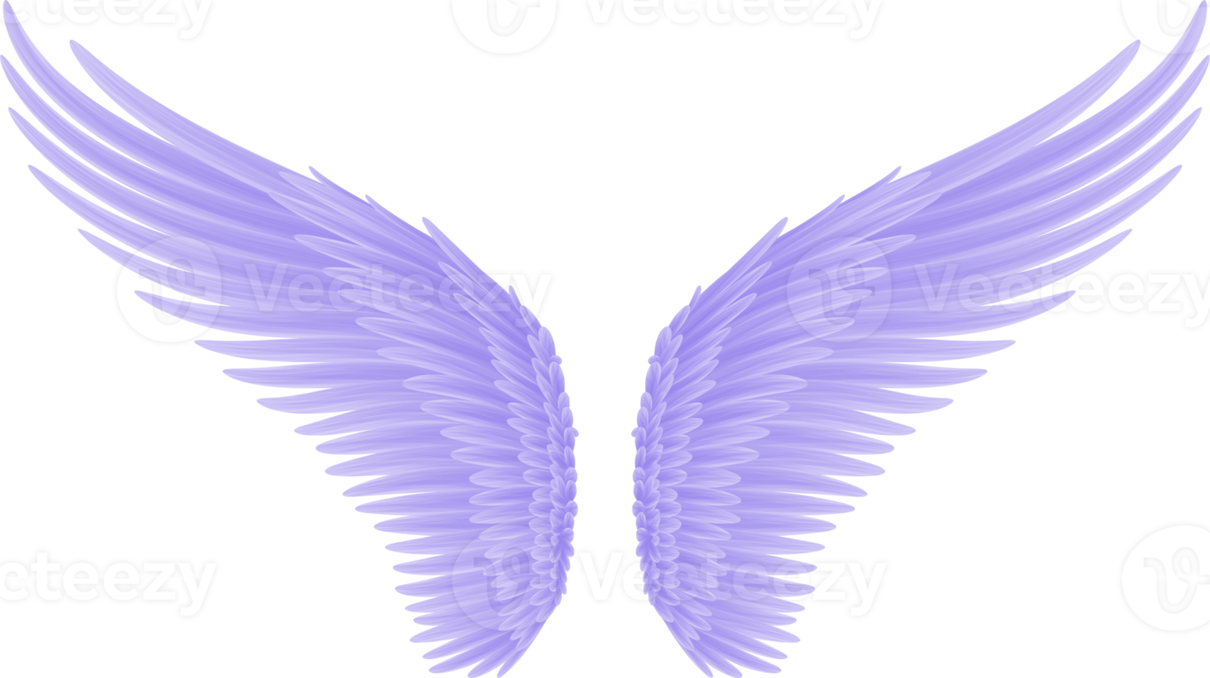angel bird wings 23211053 PNG