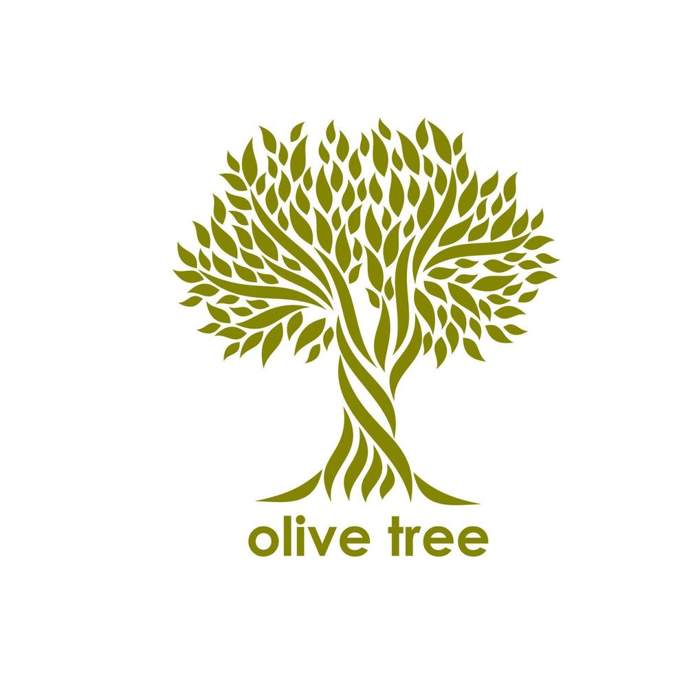 Old olive tree symbol, organic farm emblem vector