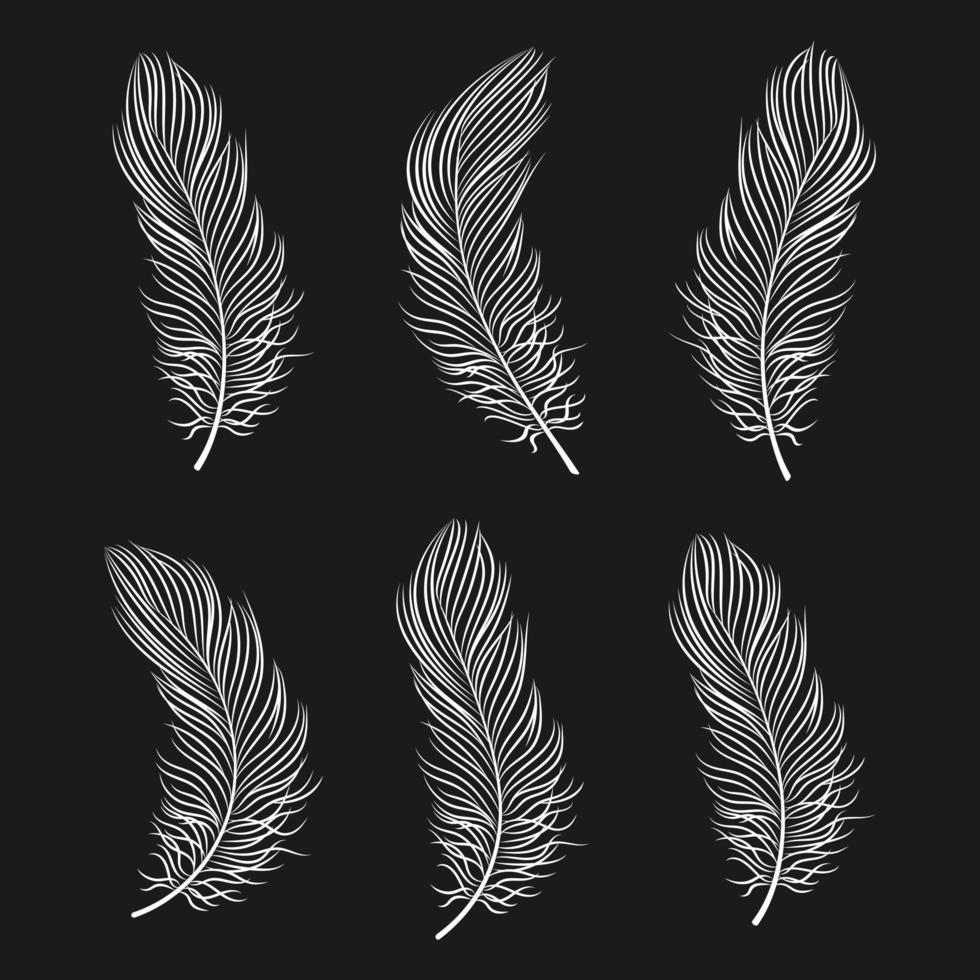 Set of white contour bird feathers on a black background, line art. Decor elements, vector