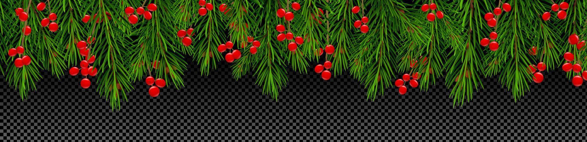 American holly with pine tree vector border decor