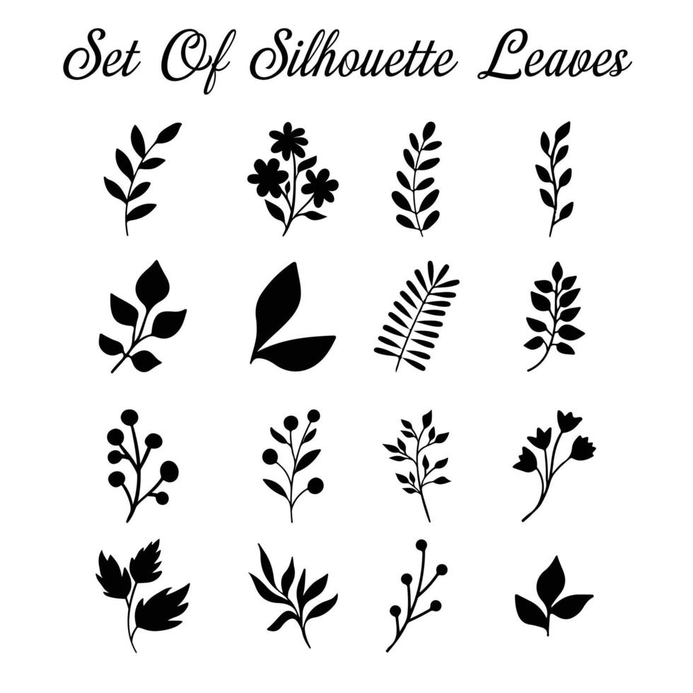 Set of tree branches, eucalyptus, palm leaves, herbs and flowers silhouettes vector