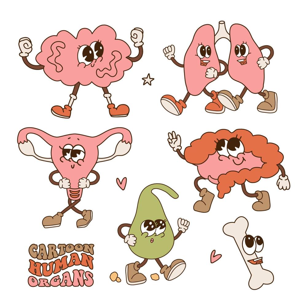 linda sonriente humano sano fuerte Organo caracteres colocar. vector retro dibujos animados ilustración aislado en blanco antecedentes. cerebro, pulmones, intestino, útero Organo, hueso y vesícula biliar mascotas