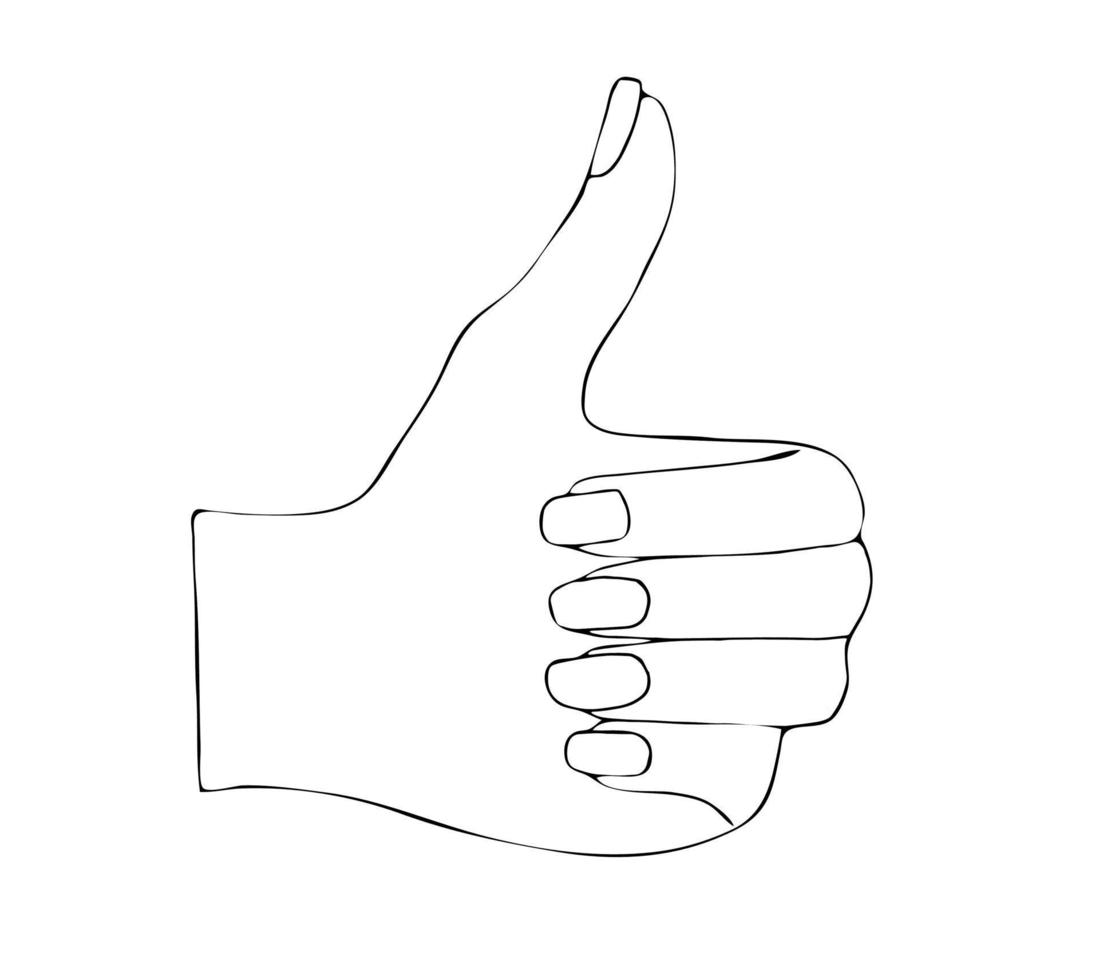 Hand drawn thumbs up vector