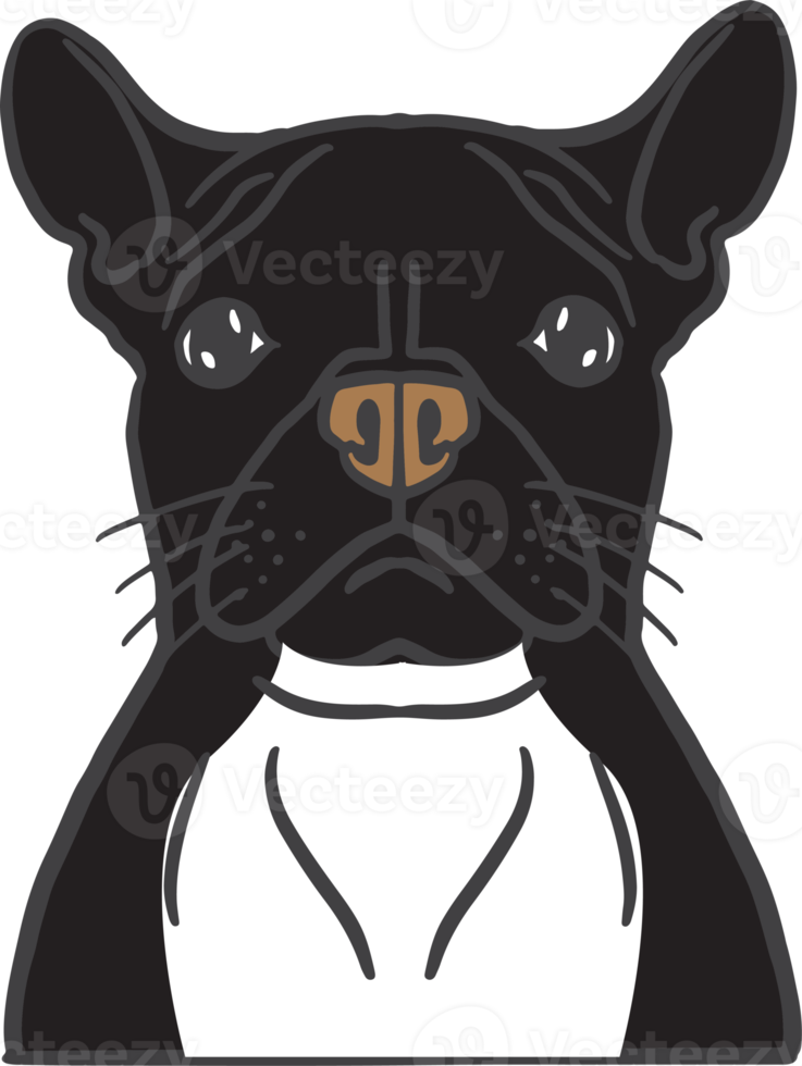 The dog face png image for pet or animal concept