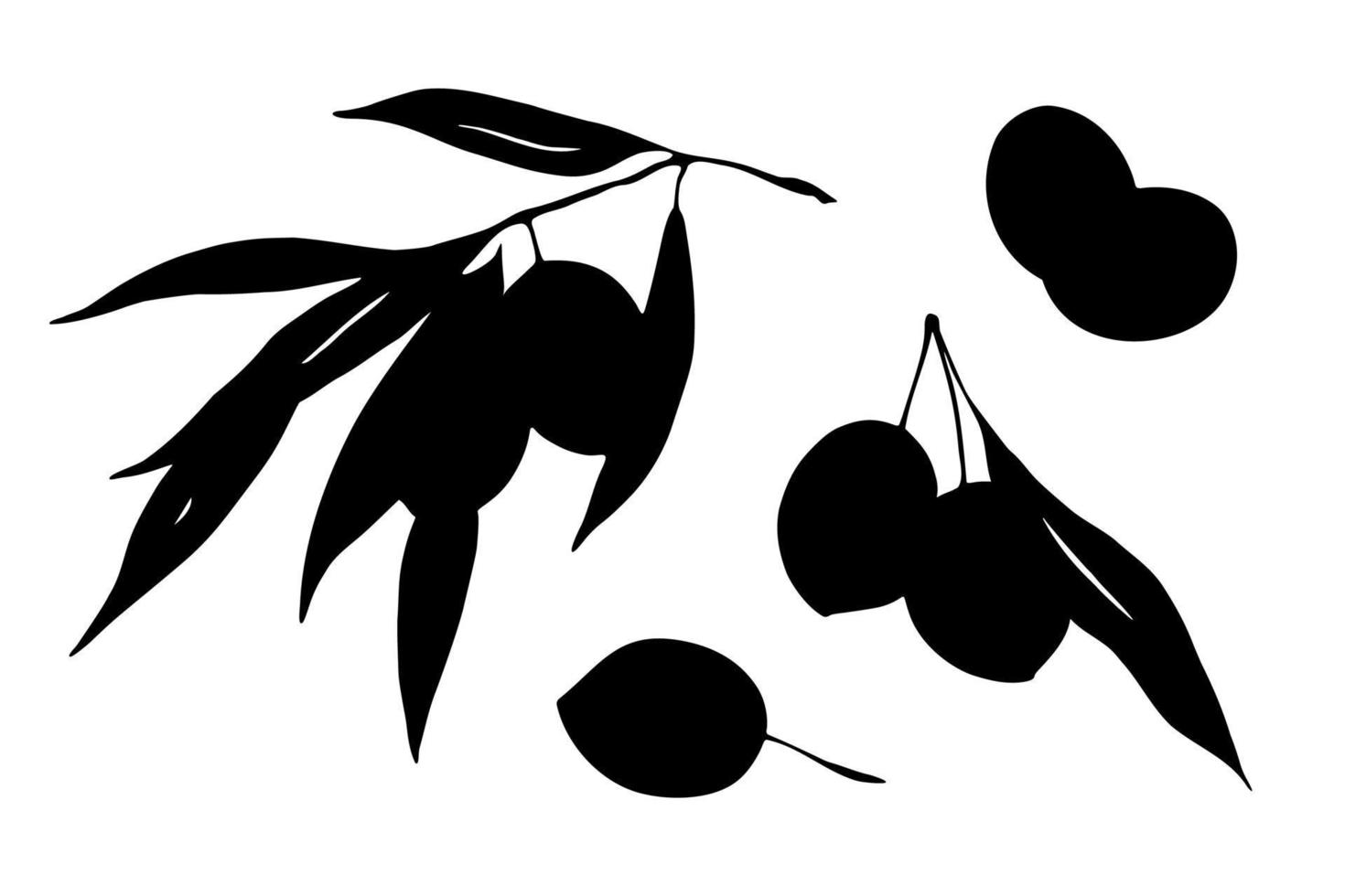 Olives branch twigs with leaves silhouette set isolated on white background. Black and white food design elements vector illustration.