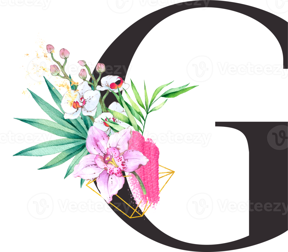 alfabet och siffra orkide blomma vattenfärg bröllop brev png