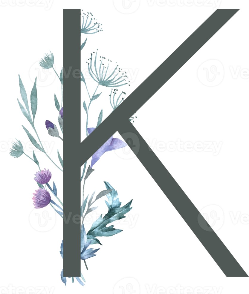 Modern Alphabet and number wildflower watercolor png