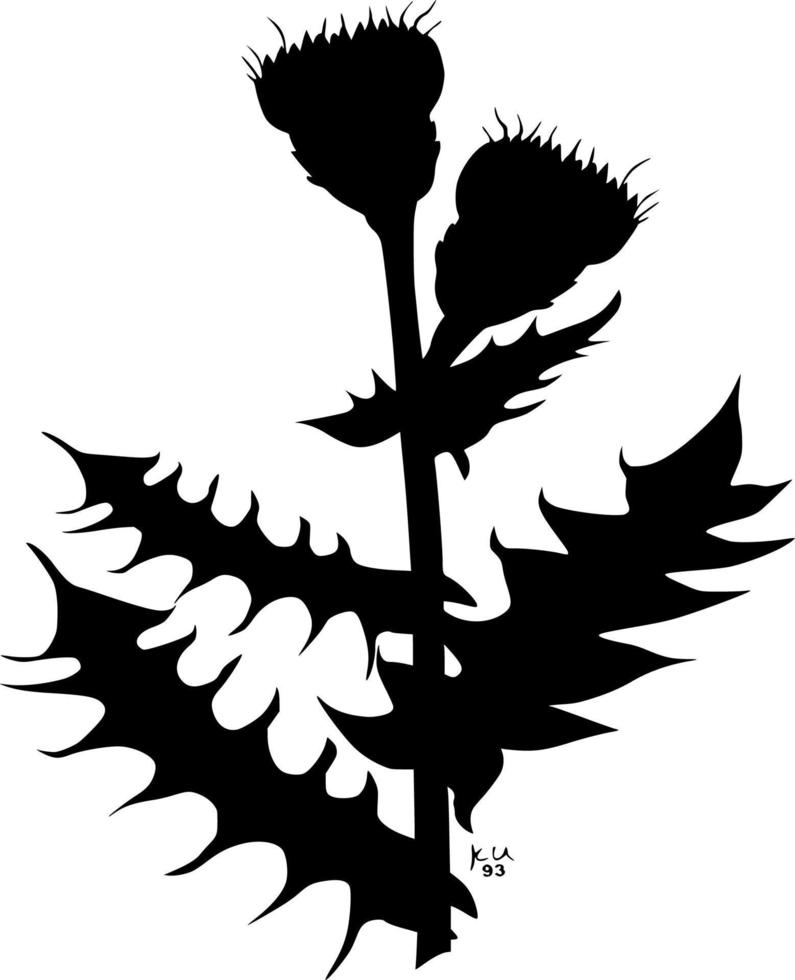 Vector silhouette of Flowers on white background