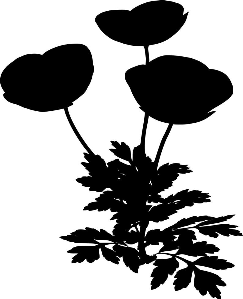 Vector silhouette of Flowers on white background