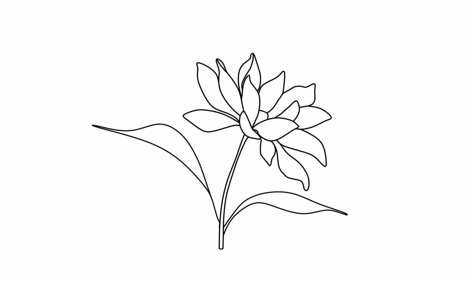 Lotus flower line art. Or by another name Nymphaea. Simple line art. Isolated white background vector