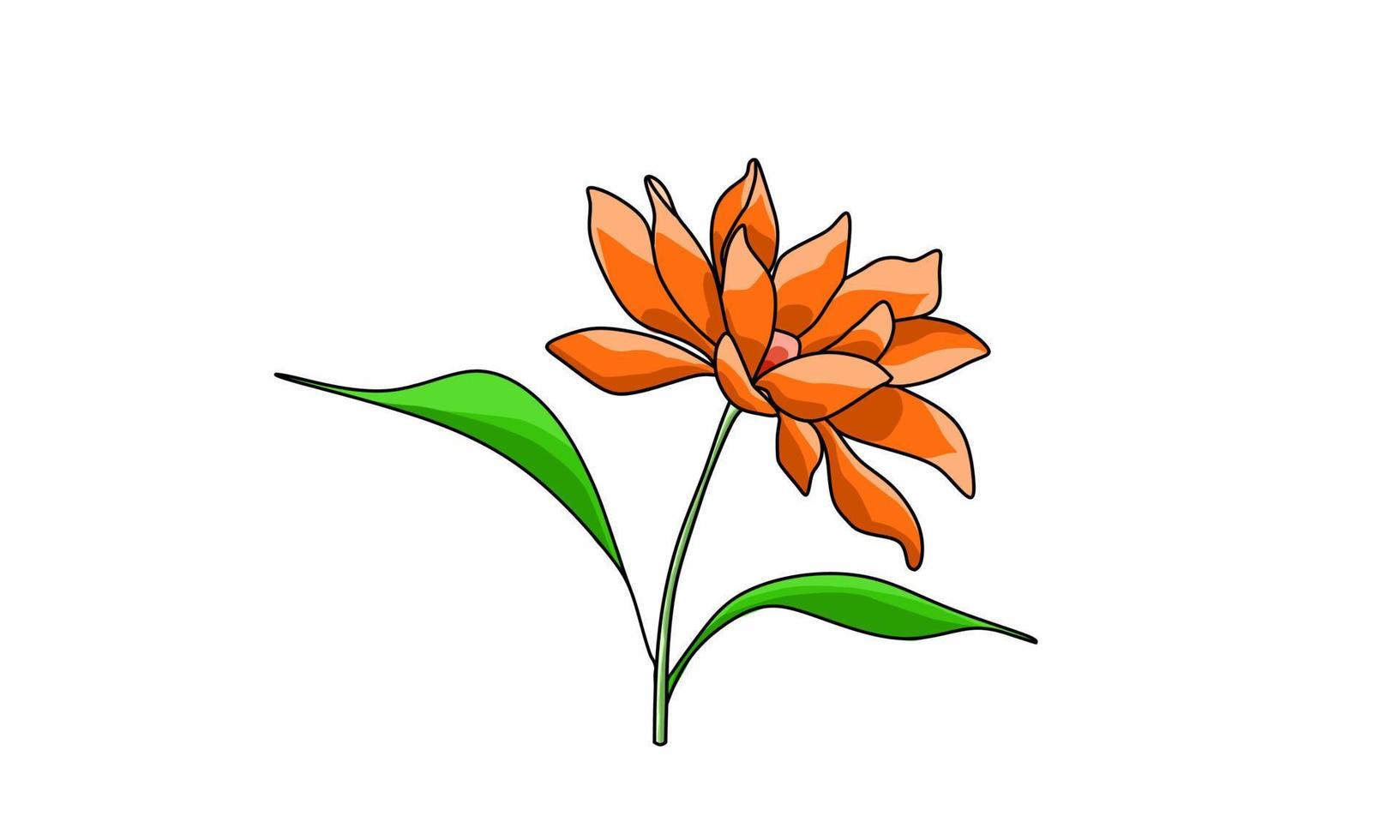 Lotus flower illustration. Or by another name Nymphaea. Flat design. Isolated white background vector