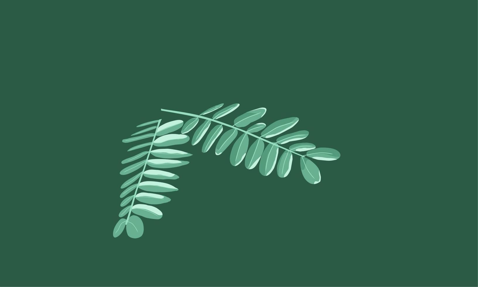 Shameful princess leaf illustration. Mimosa pudica. With isolated green background. Flat design. vector
